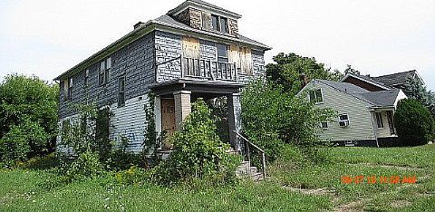 11137 Rosemary