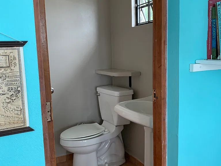 Master half bathroom.
