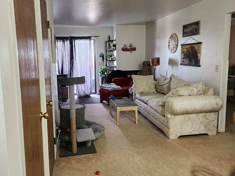 1101 Cottonwood Dr — Photo 4