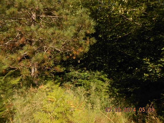 4th image of 79 Fern Ln S