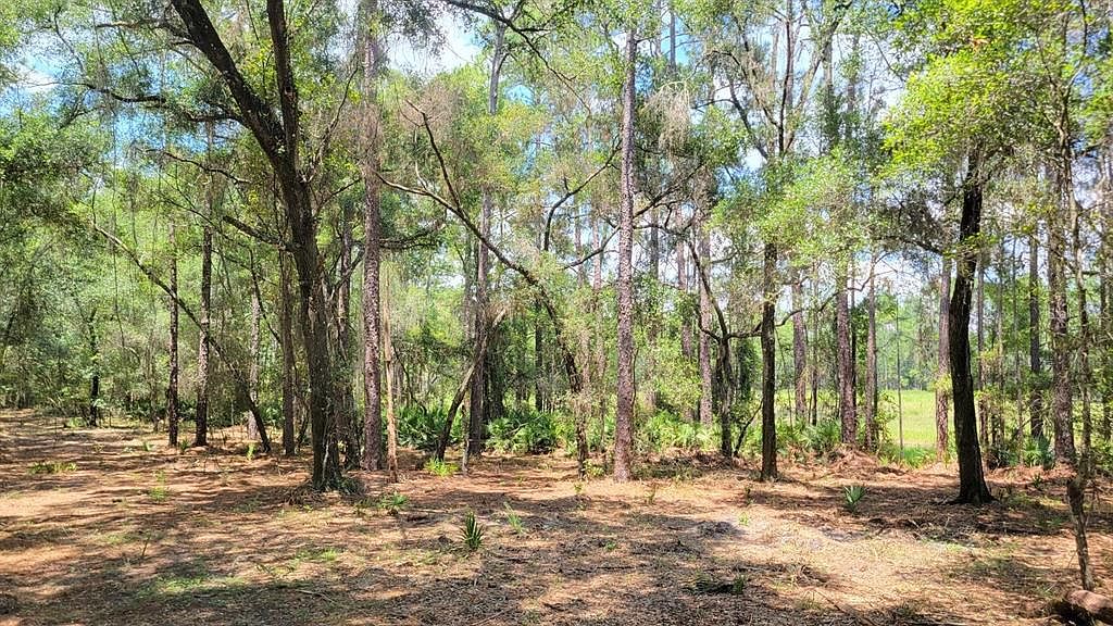 1A NE 150th Avenue Rd 1A, Fort Mc Coy, FL 32134 Zillow