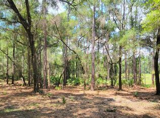 1A NE 150th Avenue Rd #1A, Fort Mc Coy, FL 32134