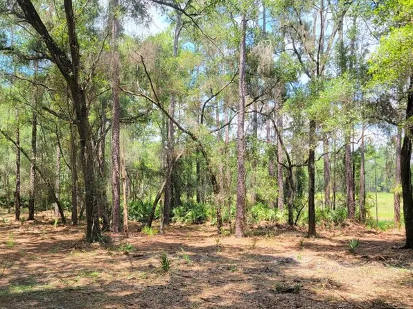 1A NE 150th Avenue Rd #1A, Fort Mc Coy, FL 32134