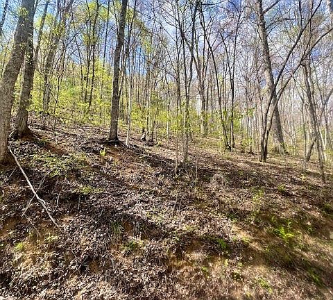 3rd image of 00 Gunter Hollow LOT E-2