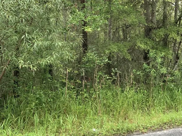 20616 NW 75th St, Alachua, FL 32615