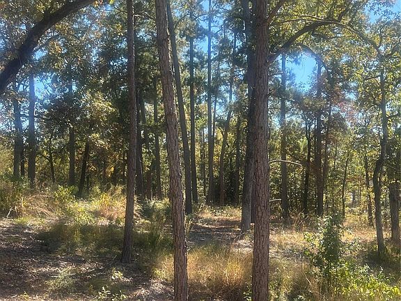3rd image of 0 Tall Timbers Dr