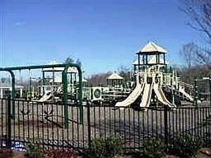 4th image of 503 Oxeye Dr
