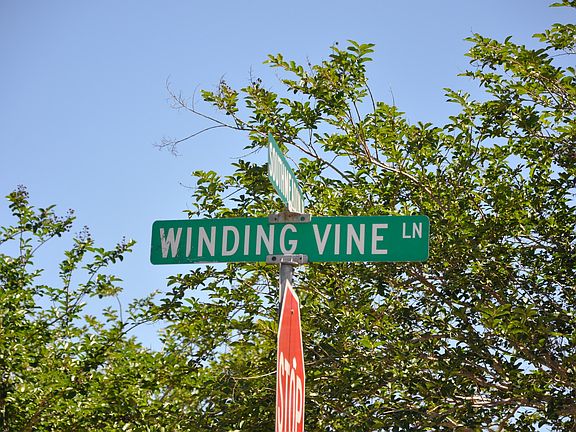 5th image of 261 Winding Vine Ln #40
