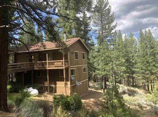 60 Lava Cap, Markleeville, CA 96120