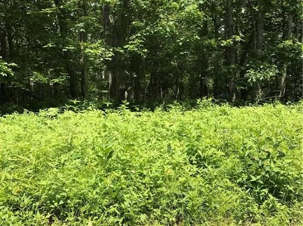0 Eagle Roost Rd #D-20, Boone, NC 28607