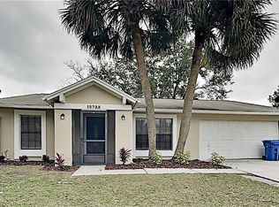 12733 Trucious Pl, Tampa, FL 33625