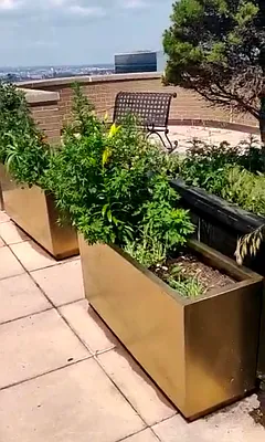 Rented by Douglas Elliman | media 42