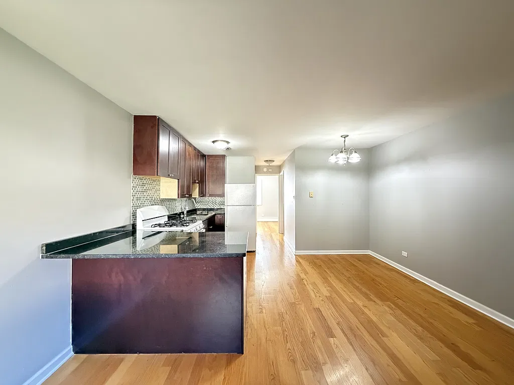 Awesome 1 Bed, 1 Bath at Waukegan + Caldwell (Morton Grove) — Photo 4