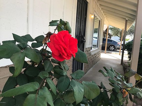 Crescent  Rose Front Porch