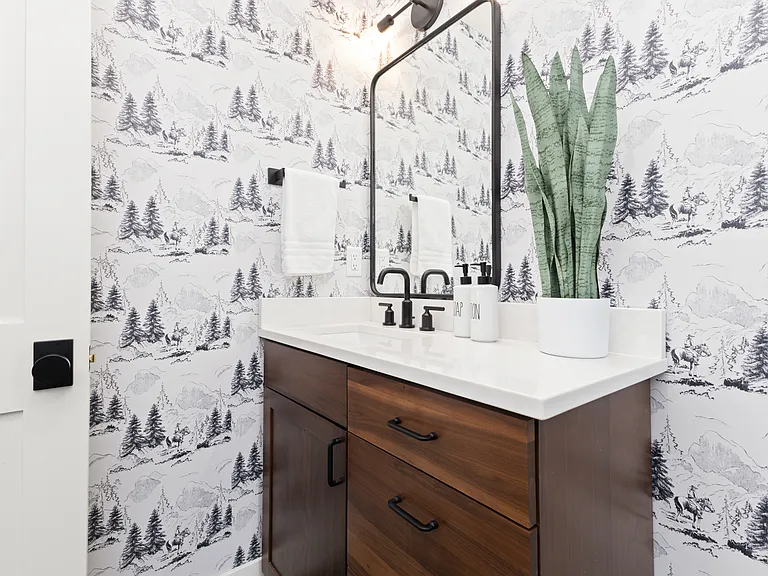 Downstairs half bathroom