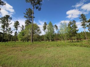 235 Salt Creek Way E, Brunswick, GA 31523