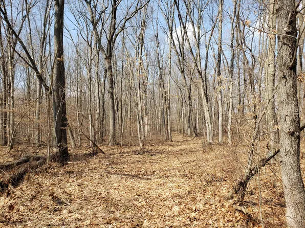 V/l #M40, Lawton, MI 49065