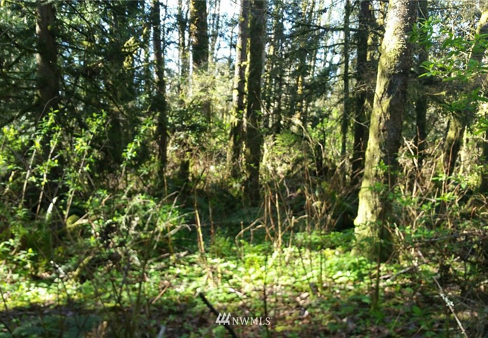2nd image of 0 Old Highway 99 N