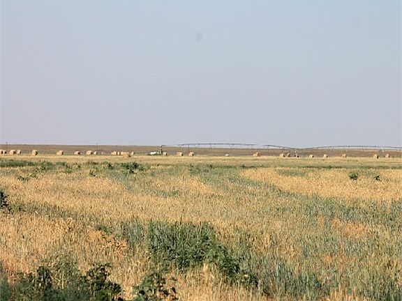 4th image of 1831 County Road 84