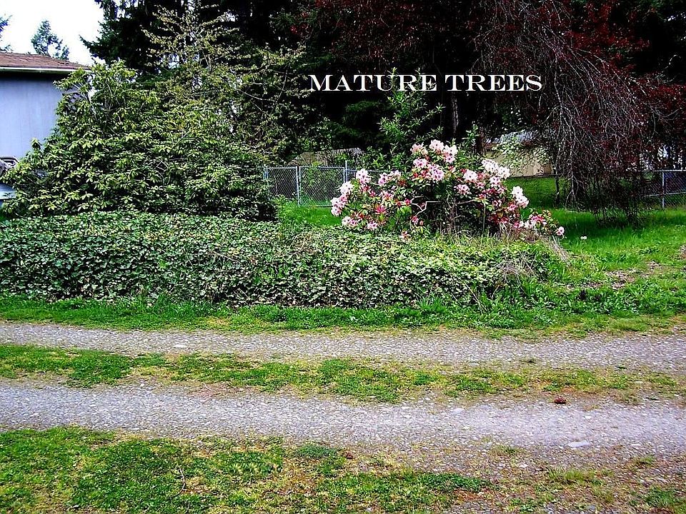 Mature Trees & Shrubbery