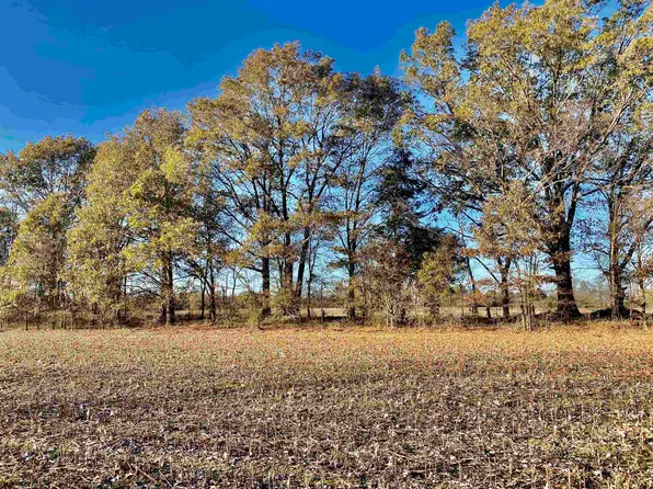 1 Fertile Valley Rd, Somerville, TN 38068
