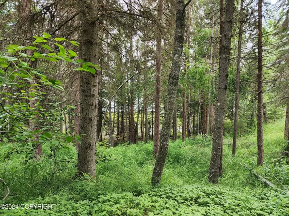 L12 Moose Range Dr, Sterling, AK 99672