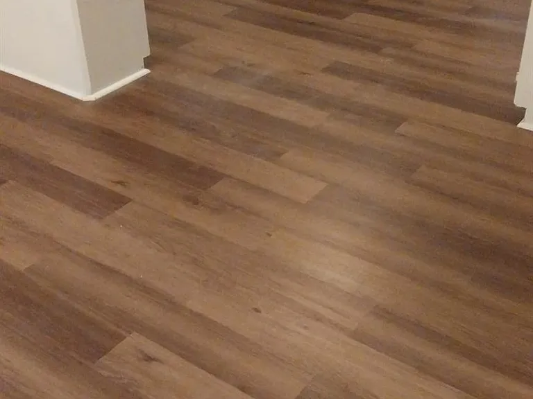 327 Primrose Rd #3 — Photo 5