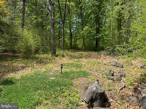 4th image of 11837 Lester Rd