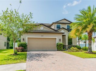20104 Satin Leaf Ave, Tampa, FL 33647