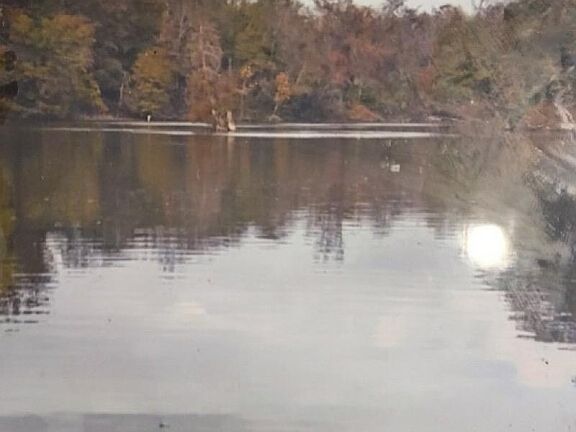 4th image of LOT 139 Amite River Rd