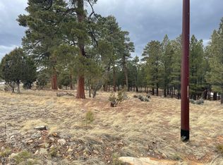 2280 Aztec Cir, Happy Jack, AZ 86024