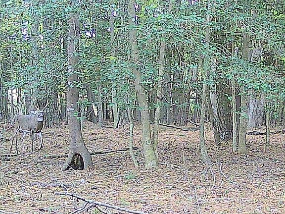 3rd image of 11.770 Daugherty Rd