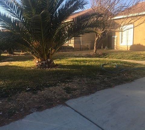 4th image of 10614 Palmyra Ct