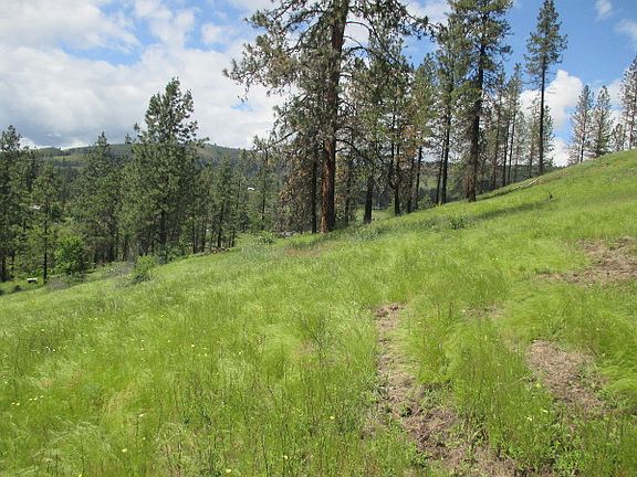 Down Toward Homesite