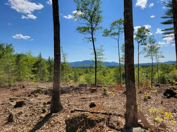 0 Lead Mine Road, Madison, NH 03849