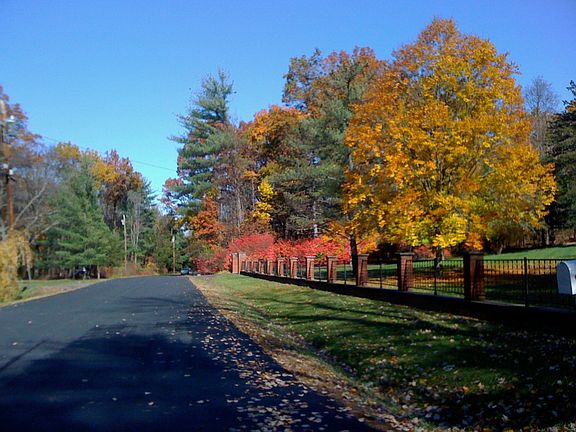 Quiet dead end, no traffic!