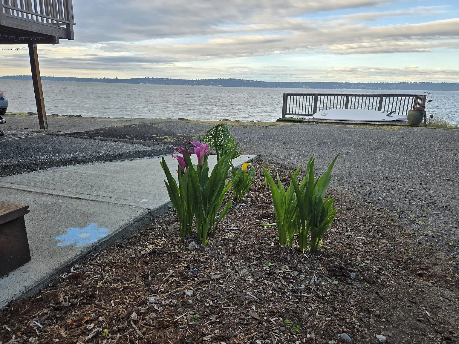 Glen Acres Rd SW, Vashon — Photo 2