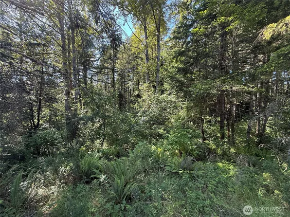 155 XX 62nd Avenue NW, Gig Harbor, WA 98332