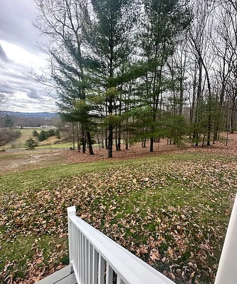440 Shadow Ln — Photo 12