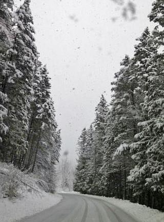 Drive into private resort community toward the house