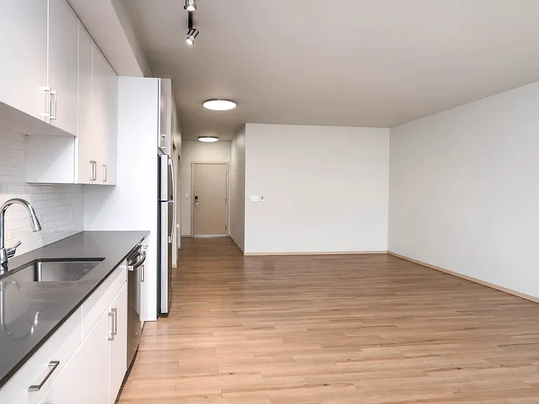 Studio Living Room with Hard Surface Flooring