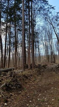 2nd image of 915 Page Brook Rd