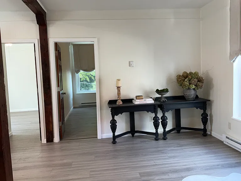 107 E Back Aly #107 — Photo 9