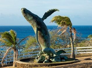 Puakea Dr LOT 34, Hawi, HI 96719