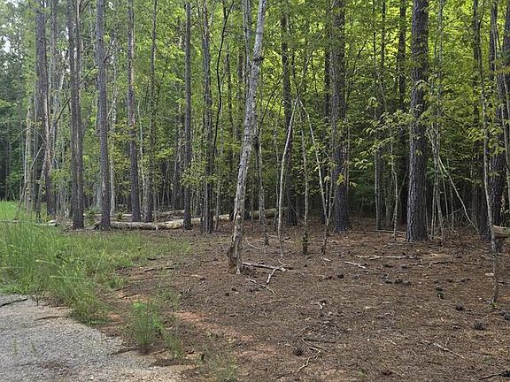 4th image of 250 Warren County Acres Rd