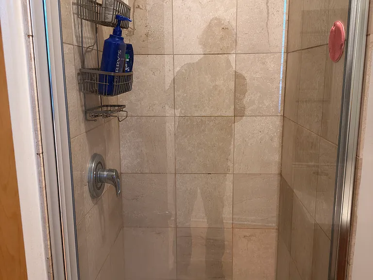 1409 N Wicker Park Ave #1F — Photo 13