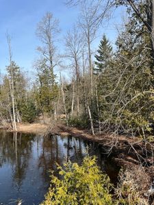 Klee Rd, Rogers City, MI, 49779