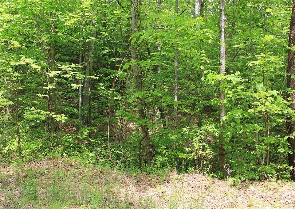 2nd image of 0 Bellinger Ln #3