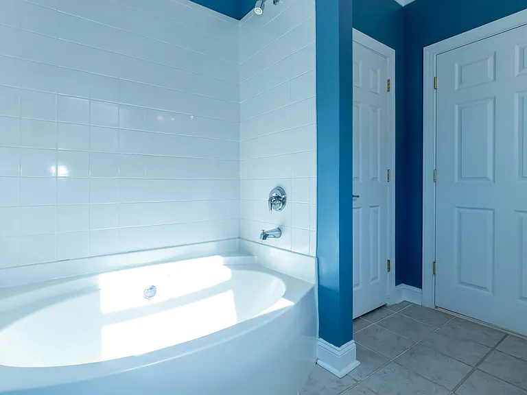 Downstairs Master Bathroom