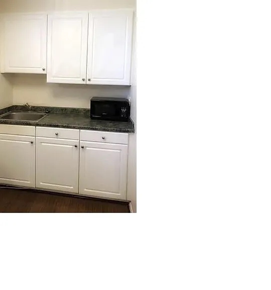 1481 S Shenandoah St #100 — Photo 3